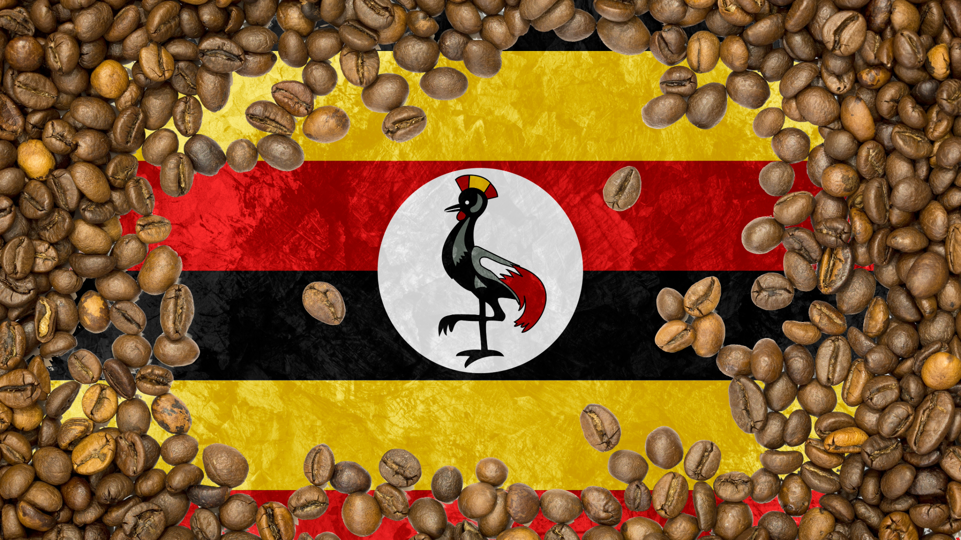 Kaffee aus Uganda
