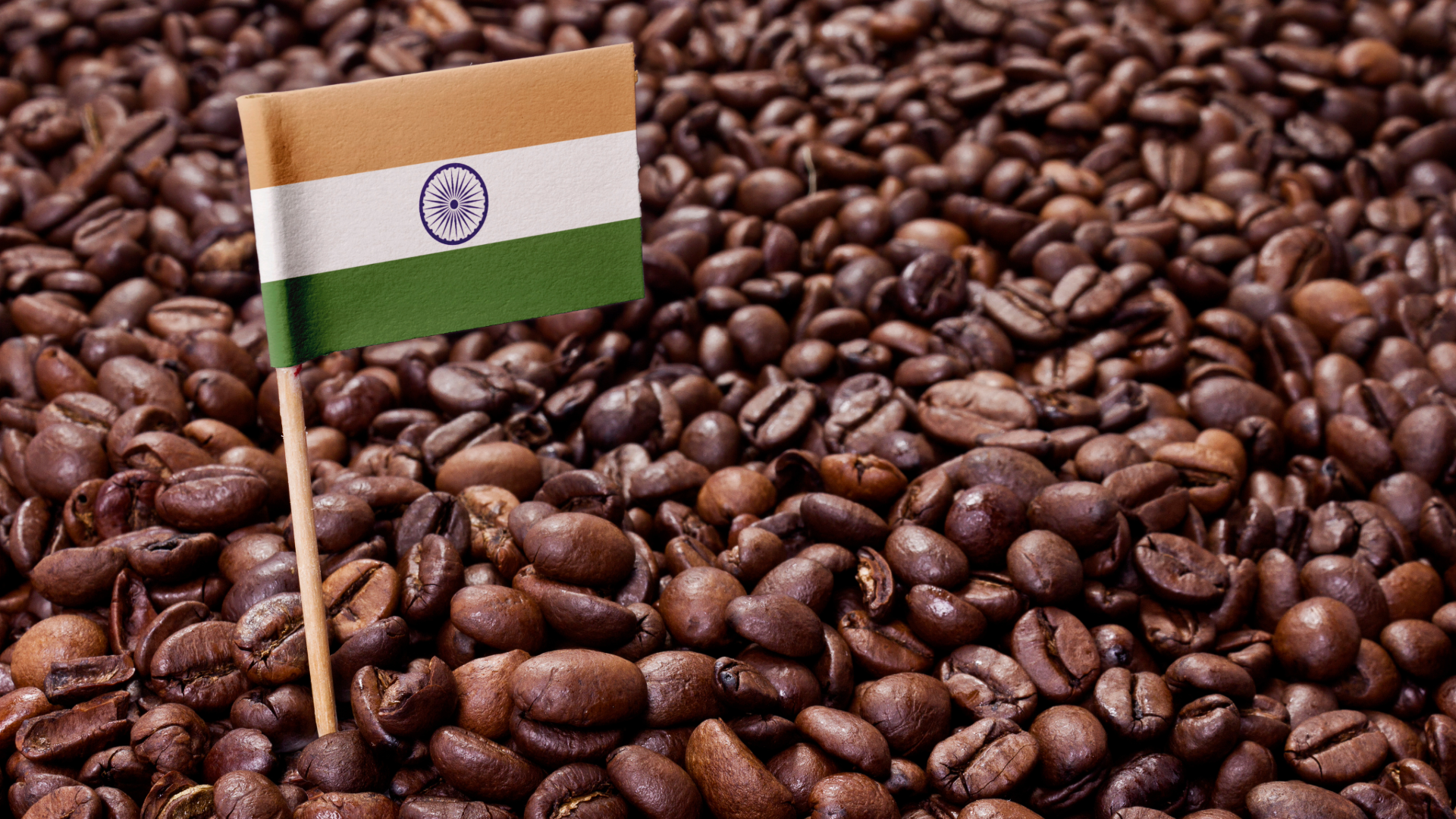 Kaffee aus Indien